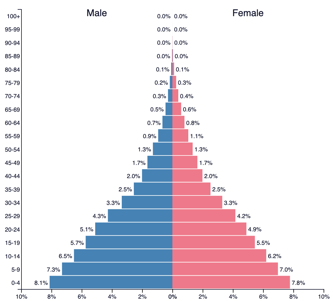 Population pyramid chart showing age distribution by gender. Males are represented in blue on the left, females in pink on the right. The largest age groups are 0–4 and 5–9, indicating a youthful population.